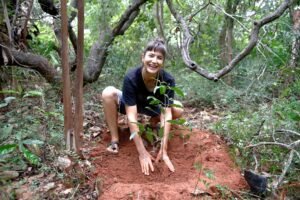 Read more about the article Documenting land regeneration