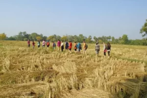 Read more about the article Annapurna