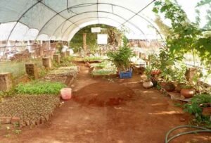 Read more about the article Local farmers for a global food culture